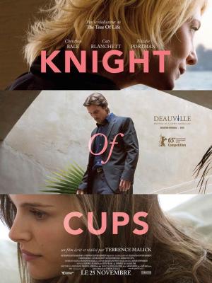 20170114031854-knight-of-cups.jpg