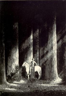 DIE NIBELUNGEN: SIEGFRIED (1924, Fritz Lang) Los nibleungos - 1ª parte: La muerte de Sigfredo